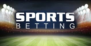 Exploring the World of Haki Bet A New Dimension in Wagering Exploring the World of Haki Bet A New Dimension in Wagering