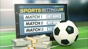 Exploring the World of Haki Bet A New Dimension in Wagering Exploring the World of Haki Bet A New Dimension in Wagering