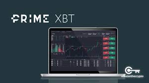 Comprehensive Insight into PrimeXBT User Base Overview Comprehensive Insight into PrimeXBT User Base Overview
