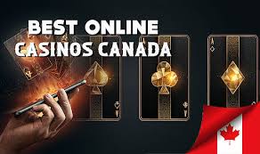 Best Gambling A Comprehensive Guide to Top Betting Options Best Gambling A Comprehensive Guide to Top Betting Options